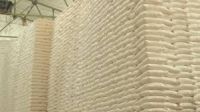 Reliable Bulk Supplier and Exporter of Refined and Raw Sugar