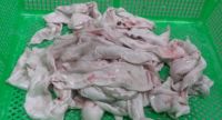 High-Quality Frozen Fish Maw Exporter