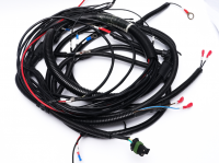 Automotive Wire Harnesses From China