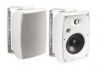 Outdoor Speaker