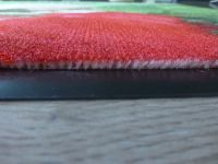 Polyester printed Doormat 