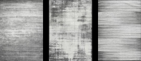 Wilton home living room carpet