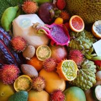 All Exotic Organic Fruits And Produce
