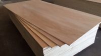 Plywood from Russia for the UAE