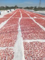 Sun dried tomatoes and powder