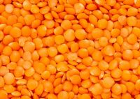 Red lentils