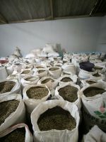 Central Java Robusta Coffee Green Beans