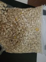 White Maize  From Angola