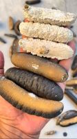 Dried Sea Cucumber