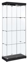 Black glass light display cabinet