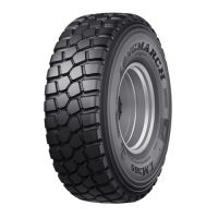 LM/R/SC 365 OTR Tyre