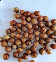 RMY soap nuts From Pakistan