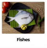 1. Frozen Vannamei Shrimp  2. Frozen Black Tiger Shrimp  3. Frozen Rohu Fish (Whole Round)  4. Frozen Ribbon Fish  5. Frozen Cuttlefish  6. Frozen Seafood Mix From Pakistan