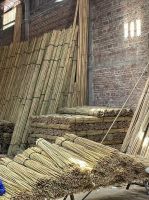 Bamboo Cane Long Stick High Quality for Export