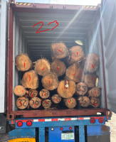 Southern Yellow Pine