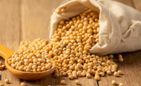 Soybeans