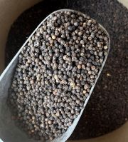 Black Pepper