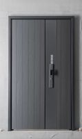 Steel Doors for Entrance with security level From China