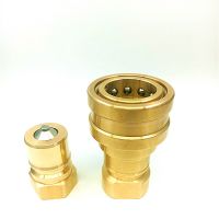 Imperial Internal Thread Brass Hydraulic Quick Coupler, Waterway Connector"  Breakdown From China