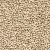 Sesame seeds