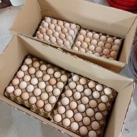 Food - Supplements / Others - Food - Supplements