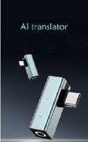 Portable AI translator