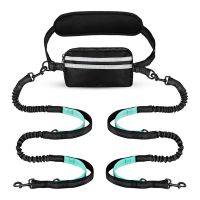 Double Hands Free Dog Leash for large breeds, Adjustable & Retractable & Reflective