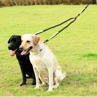 Hands-Free Dual Dog Leash with Waist Belt - Shock-Absorbing Bungee for Two Dogs, Adjustable & Reflective, OEM Available
