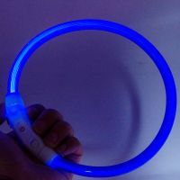 Wholesale Simple LED Light-Up Pet Collar for Cats and Dogs - USB Rechargeable, Waterproof, Multi-Size & Color Options with OEM Customization