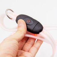 USB Rechargeable LED Glowing Wide Pet Collar for Cats & Dogs - Waterproof PVC, Quick Release, Multi-Color & Size, Affordable, OEM Available