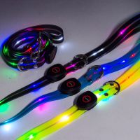 Stylish PVC LED Glow Dog Leash for Cats & Dogs - Waterproof, USB Rechargeable, Multi-Color Lights, Durable & Trendy, OEM Available