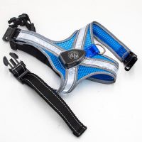 Reflective LED Safety Pet Harness for Cats & Dogs - Breathable Nylon Mesh, USB Rechargeable, Waterproof Multi-Mode Lights, Multi-Size & Color, OEM Available