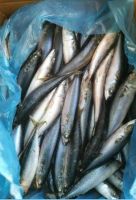 Mackerel