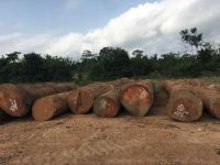 Azobe (Ekki) Round Logs