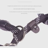 Outdoor One-Piece Adjustable Explosion-proof