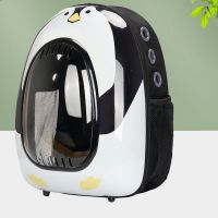 Transparrent Cat Backpack Double-shoulder Space Capsule Pet Bag Dog Carrier
