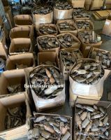 Catalyst Converter Scrap Supplier, Catalyst Scrap Supplier, Catalyst Converter Scrap For Sale, Scrap Catalyst Converter Supplier
