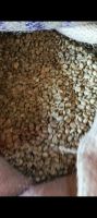 Arabica Coffee Beans
