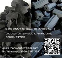 Coconut Shell Charcoal Briquette