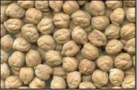 chickpeas suppliers,chick pea exporters,chickpea traders,kabuli chickpea buyers,desi chick peas wholesalers,low price chickpea,best buy chick peas,buy chickpea