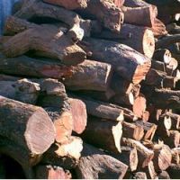 Firewood White Quebracho