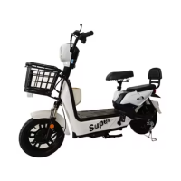 China Factory 1000w/750w Electric Motorcycle for Adults Front &amp; Rear Shock Absorption 48v Electric Moped with 500w Motor Power