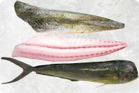 Frozen Mahi Mahi
