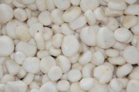 IQF Water Chestnuts Slices