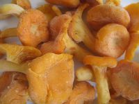 Chanterelle, Wild Mushrooms