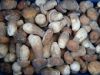 wild mushrooms, frozen boletus edulis