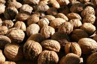 Best Almond Nuts | Apricot | Betel Nuts | Brazil Nuts | Cashew Nuts From South Africa