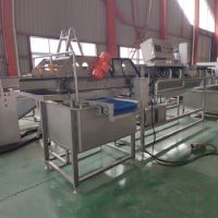 Industrial Fruit Cleaning Equipment Tomato Lettuce Washer Leaf Vegetables Washing Machine From South Africa