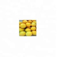 fresh eureka lemon adalia verna fresh lime and south africa bulk suppliers fresh lemons for sale lemon eureka From South Africa