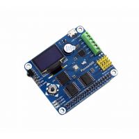 RASPBERRY PI PIONEER600